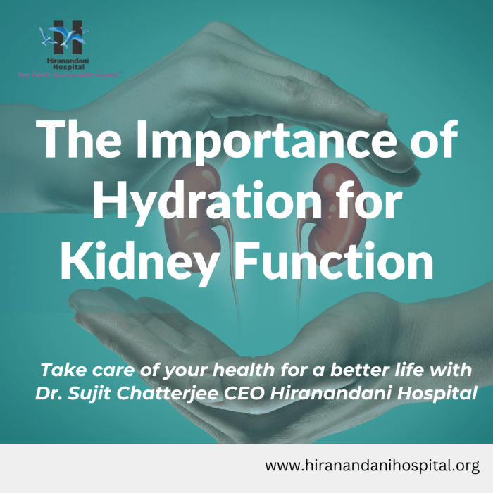The relationship between adequate hydration and kidney health